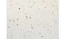 Contremarches adhésives Terrazzo - CMV-TER-WH - Le Grand Cirque