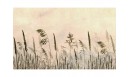 Papier peint panoramique adhésif Parfum d'été - PNV-ETE-OR - Le Grand Cirque