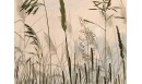 Papier peint panoramique adhésif Parfum d'été - PNV-ETE-OR - Le Grand Cirque