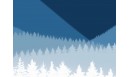 Tapis vinyle Forêt de sapins Bleu - TAV-SAP-BU - Le Grand Cirque